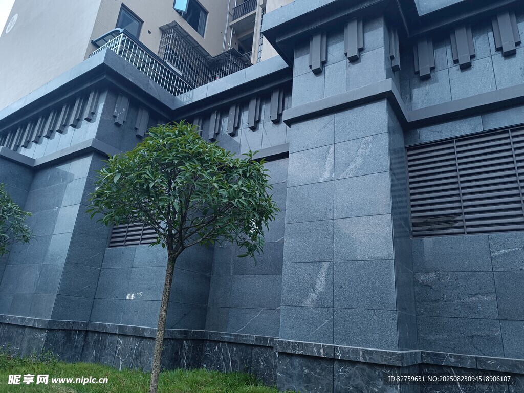 灰色建筑旁的小樹