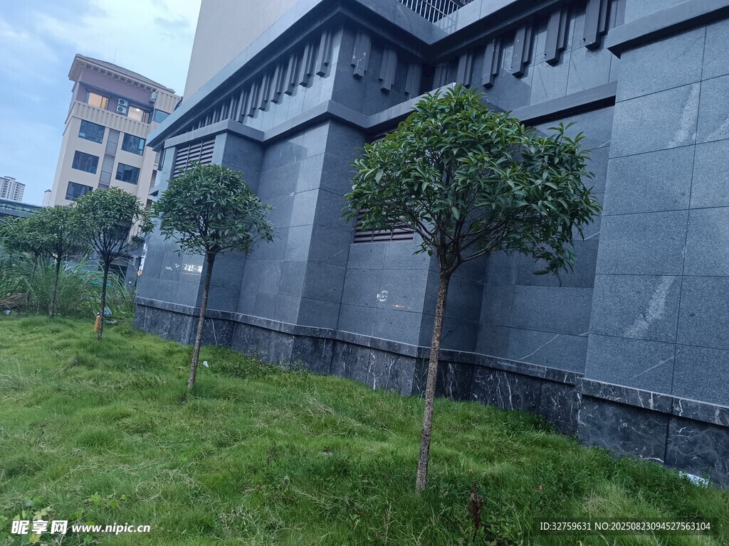 灰色建筑旁的綠意景觀