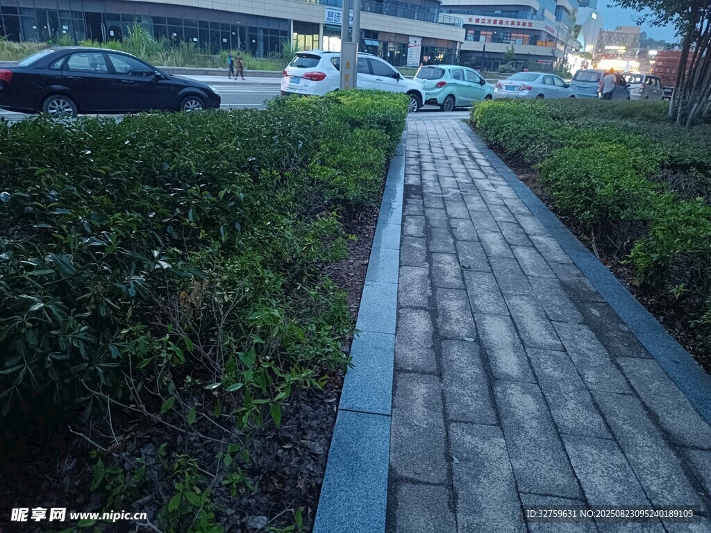 城市中幽靜的磚石小徑