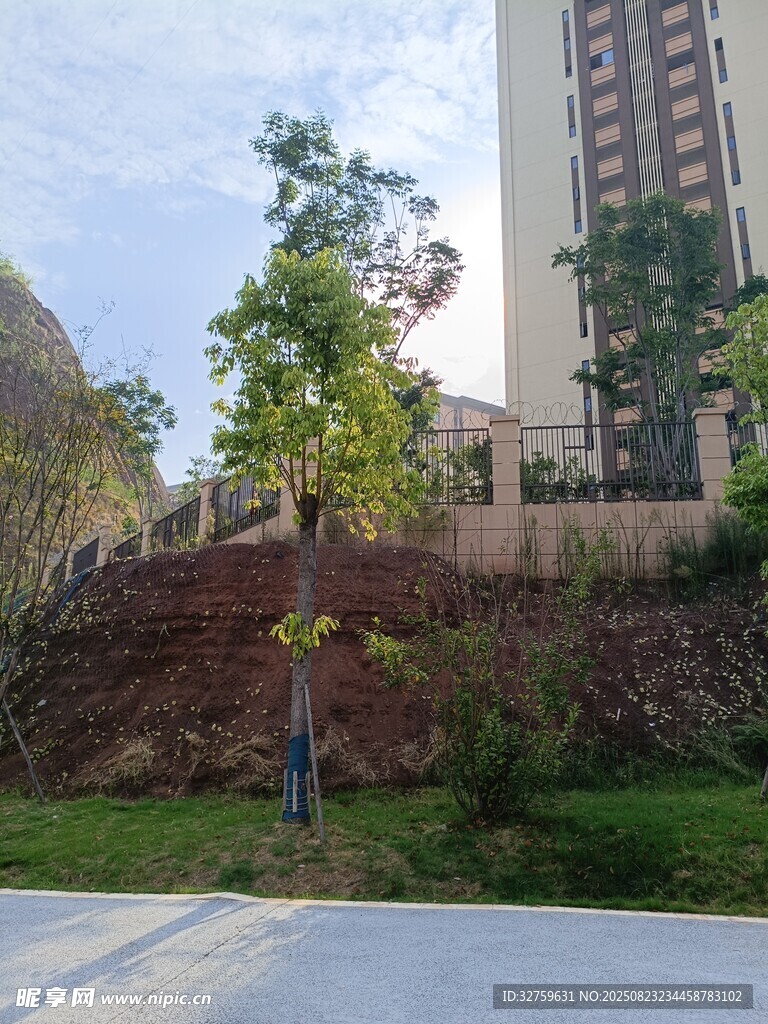 城市住宅區(qū)的綠植景觀