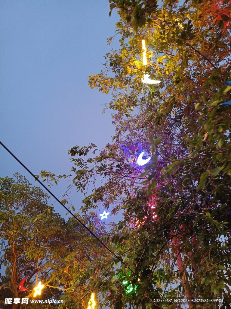 樹上彩色燈光營造夢幻氛圍