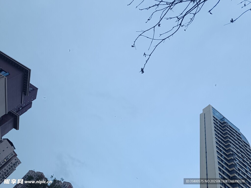 城市建筑與天際線景觀
