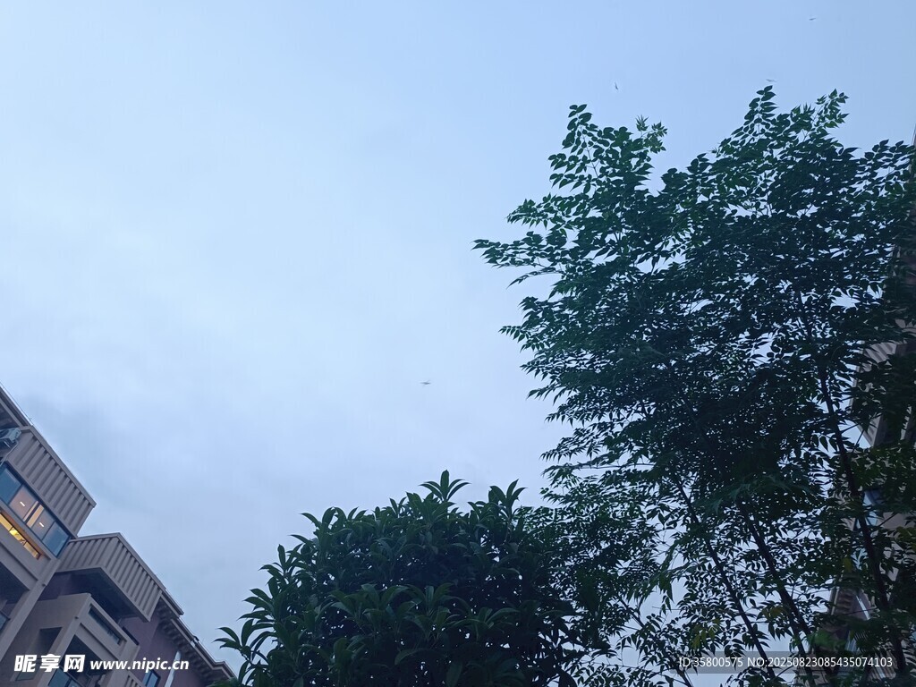 樓旁綠樹與藍(lán)天景致