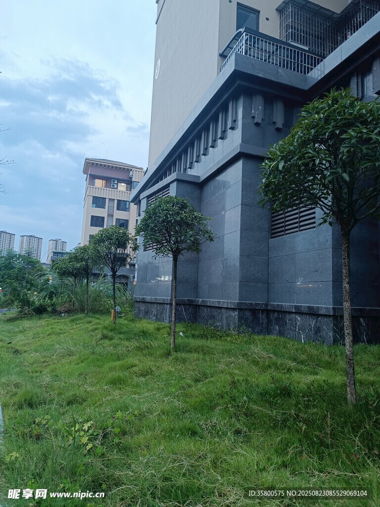 樓旁草地與綠植景觀