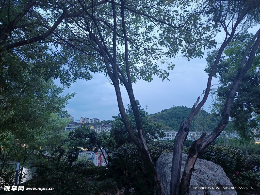 林間景致 