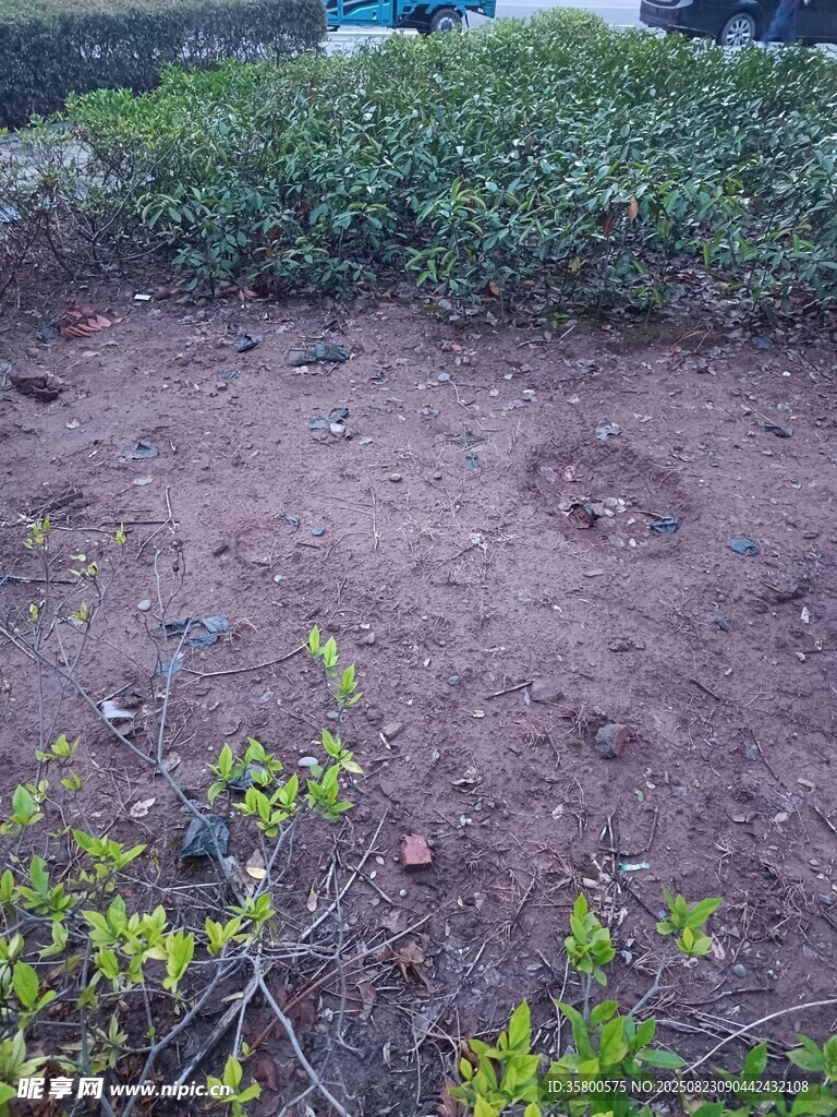 戶外泥土地與綠植景觀