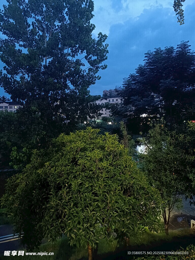 綠樹(shù)藍(lán)天的戶外景致