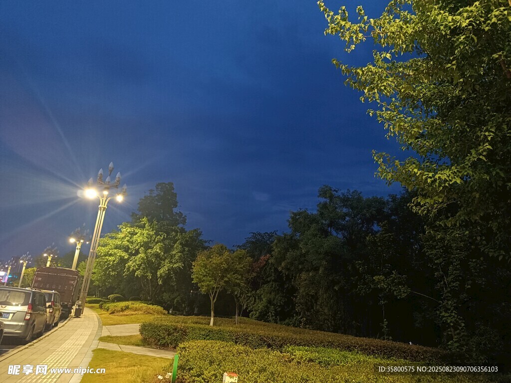 夜晚公園道路旁的燈光景色