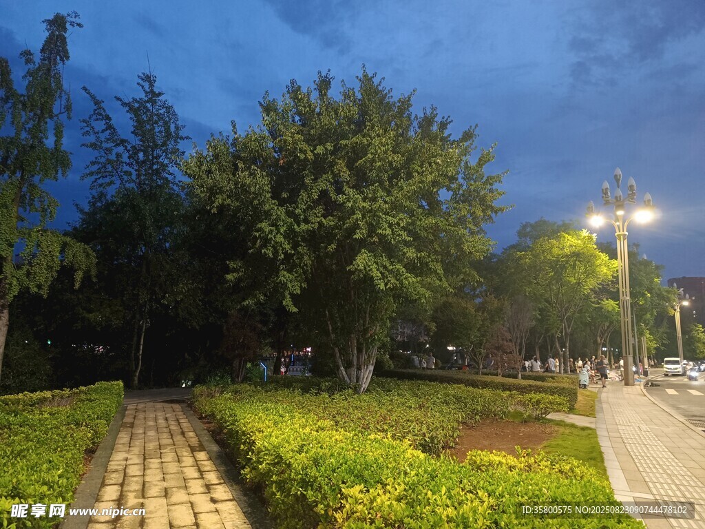 夜幕下的公園小徑景觀