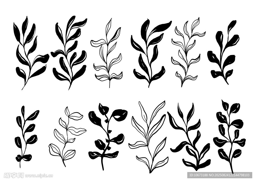 黑白植物枝葉矢量插畫