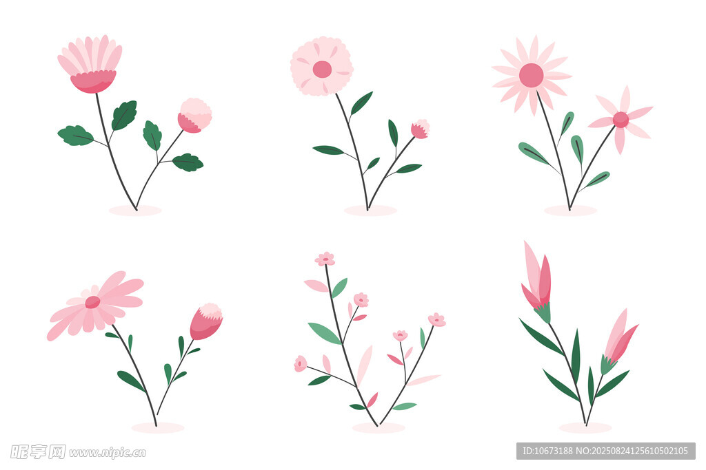 粉色花卉插畫集合