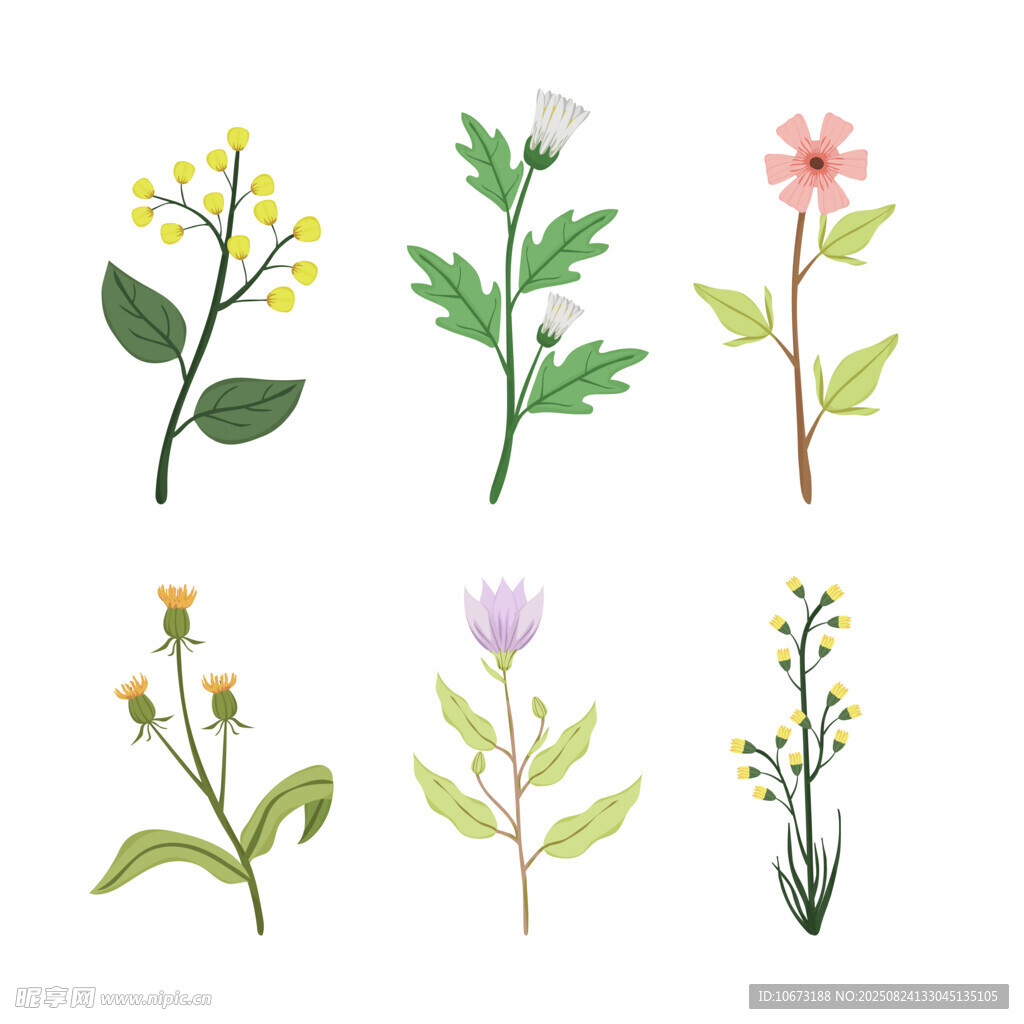 手繪清新花卉植物插畫(huà)