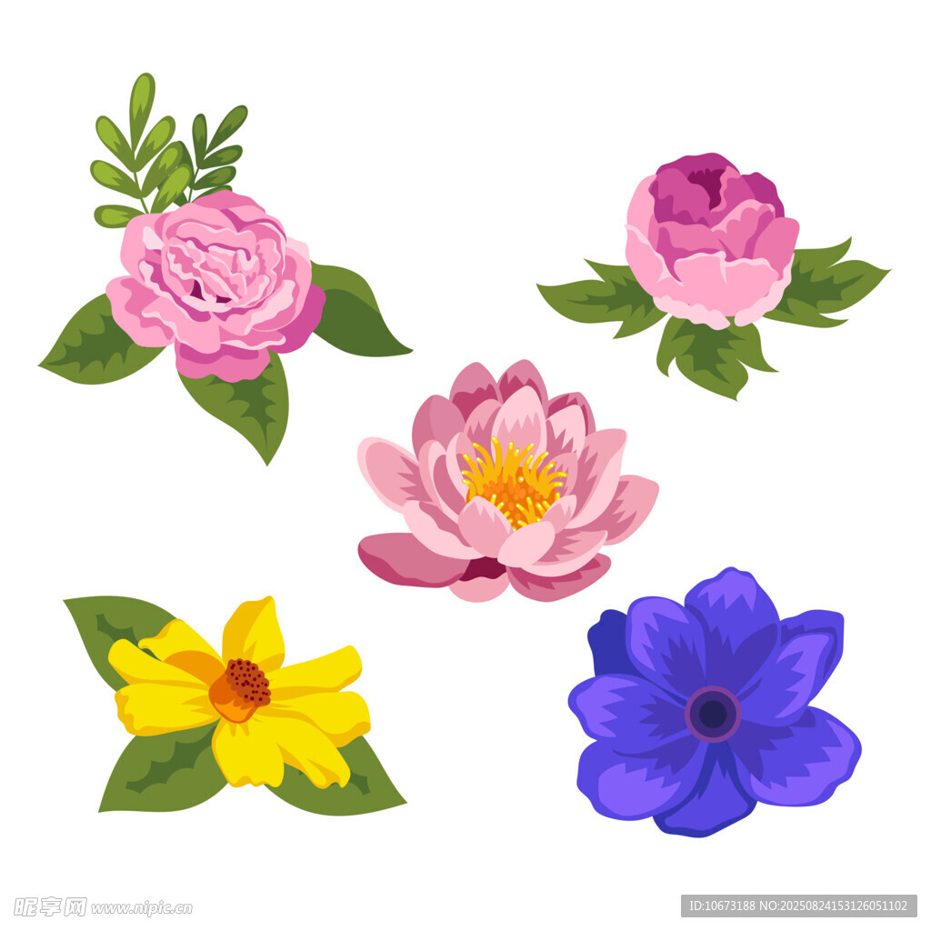 多彩花卉插畫集合