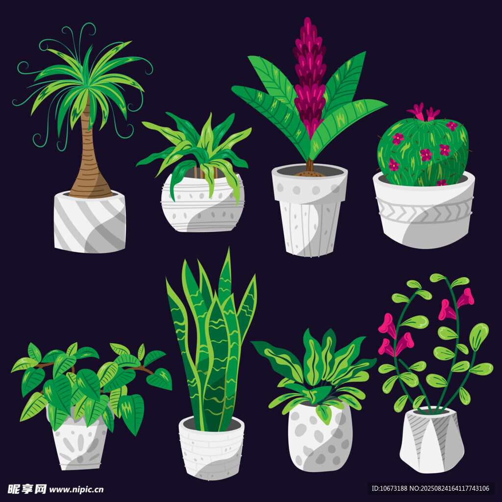 盆栽植物插畫集合