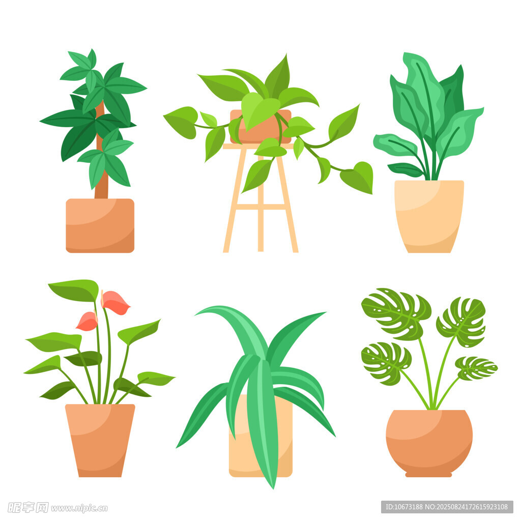 多樣盆栽植物展示