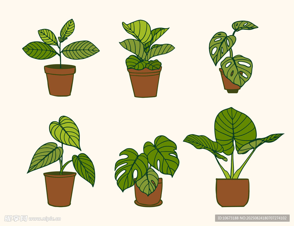 盆栽綠植集合