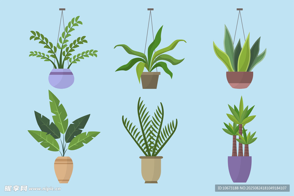 多樣懸掛盆栽植物展示