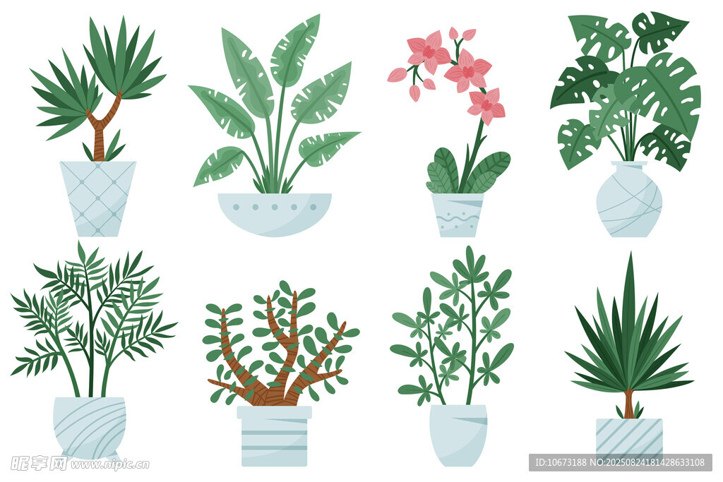 多樣盆栽植物插畫