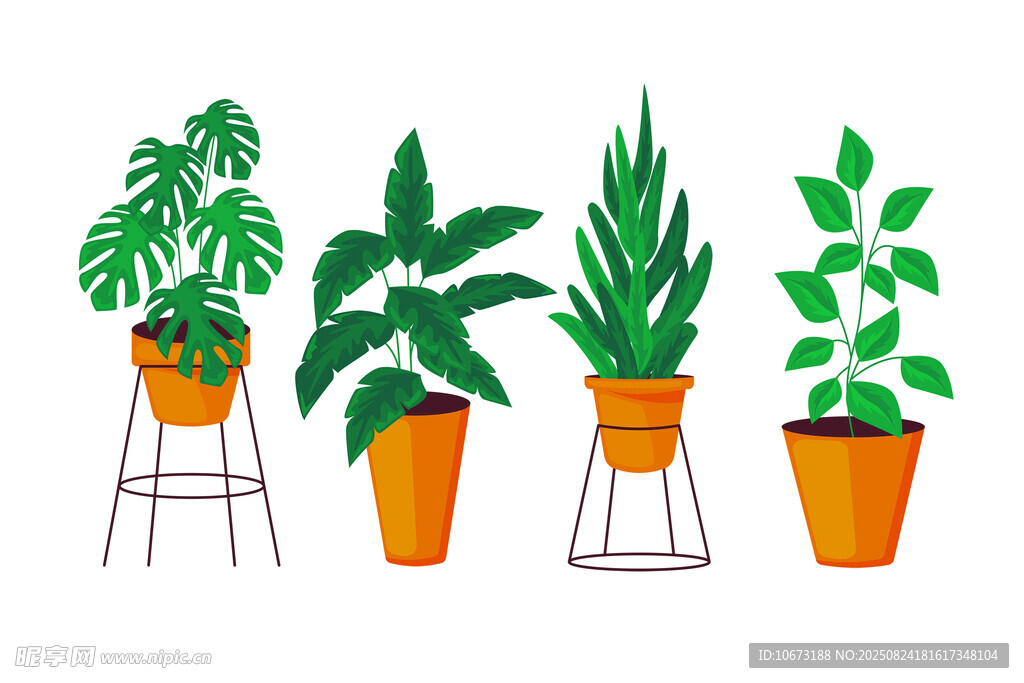 四盆綠植擺放在支架上