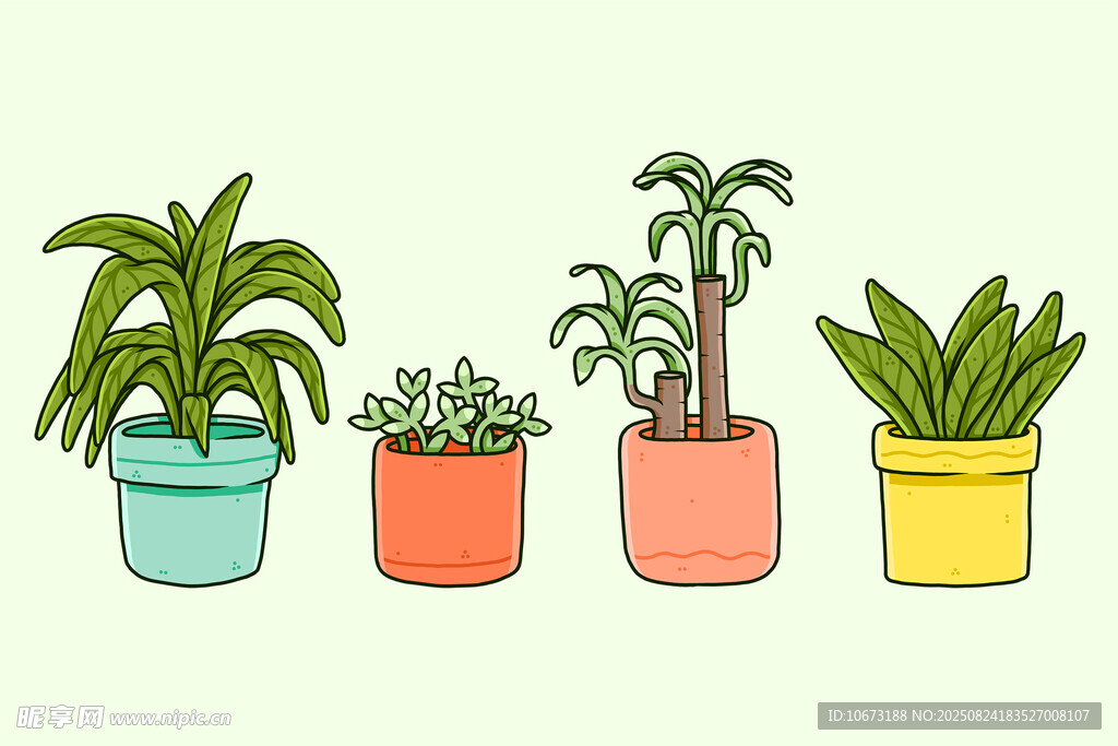 多彩盆栽植物排列展示