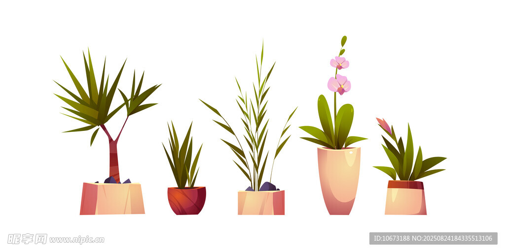 盆栽植物組合展示