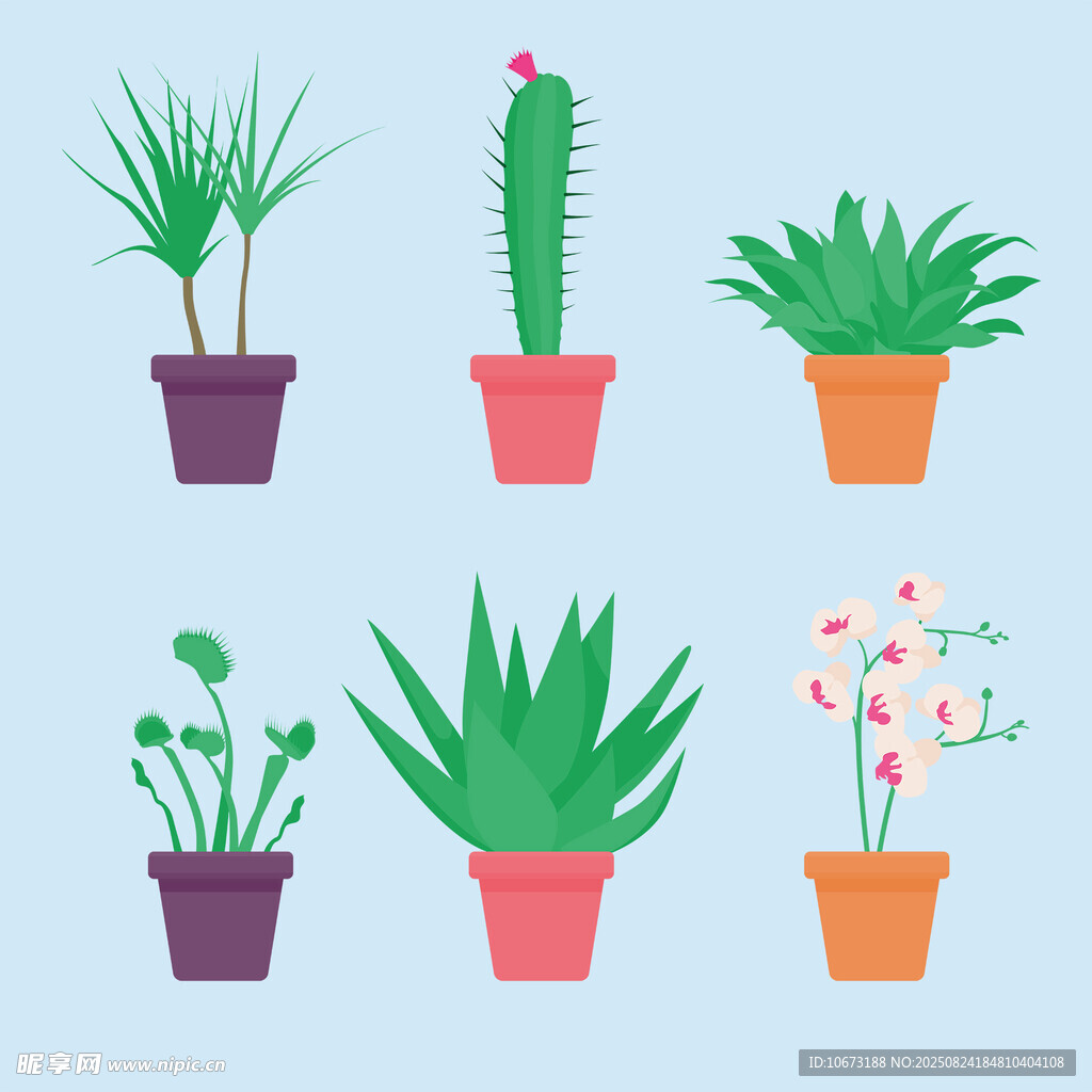 多彩盆栽仙人掌植物集合