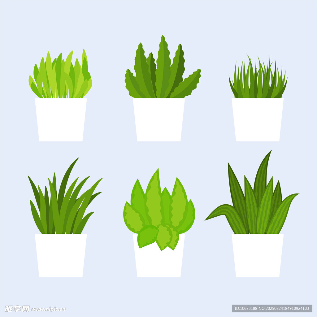 盆栽綠植組合展示