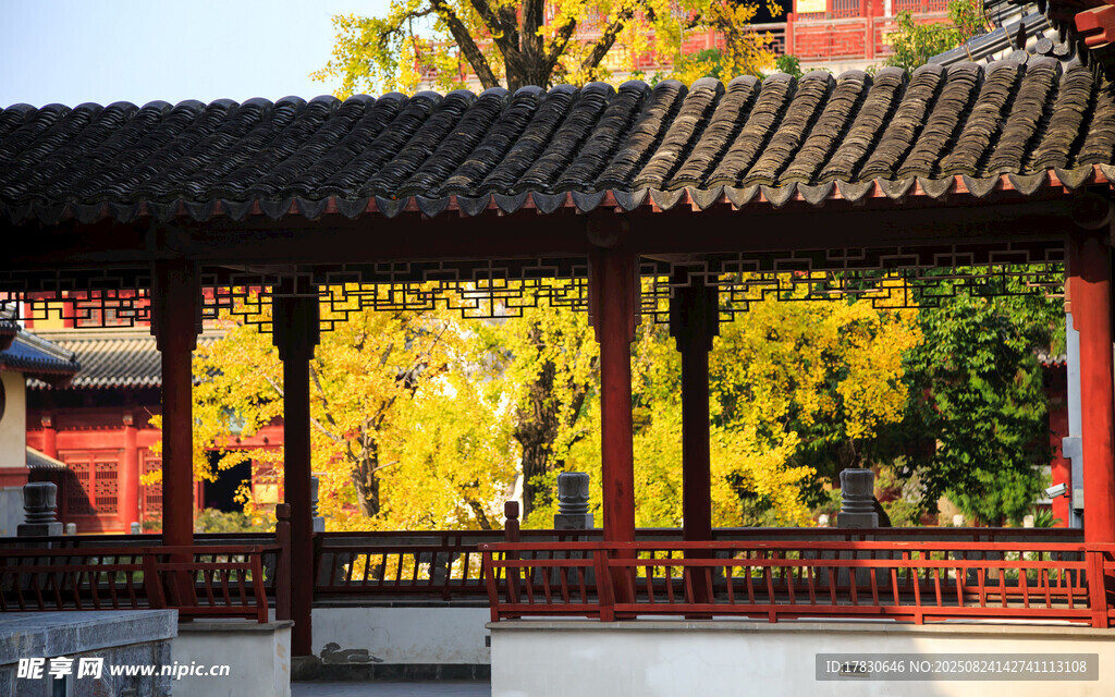 南京毗盧寺