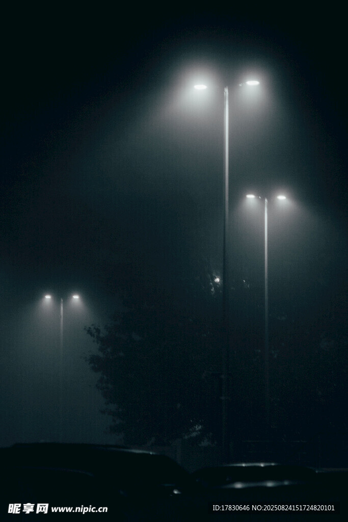 夜晚路燈照亮黑暗場景