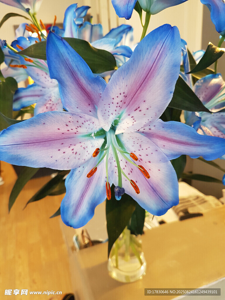 夢幻紫色百合花瓶插花