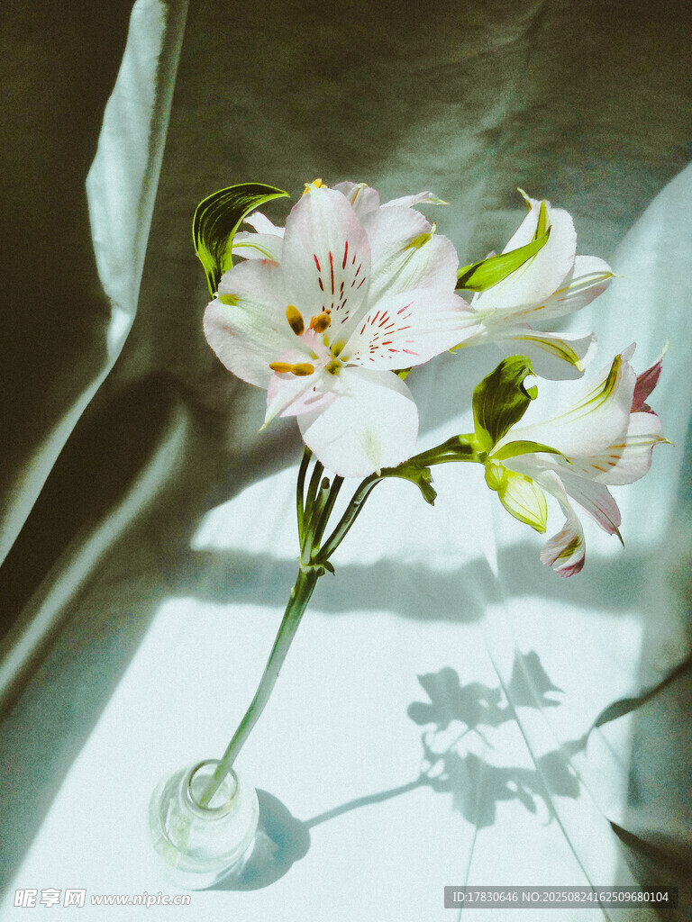 窗邊玻璃瓶中的素雅小花