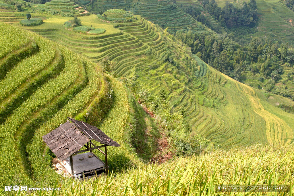 山間稻田中的古樸小屋