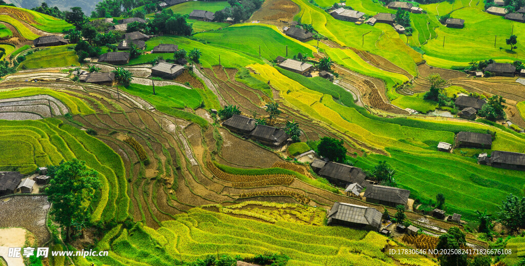 田園風光中的村落美景