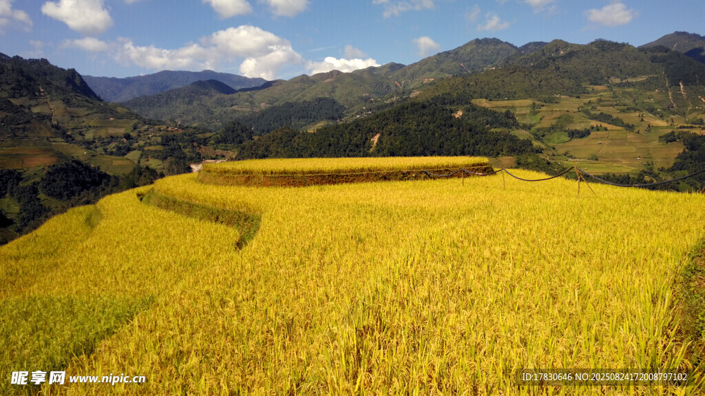 金黃田野與遠(yuǎn)山美景