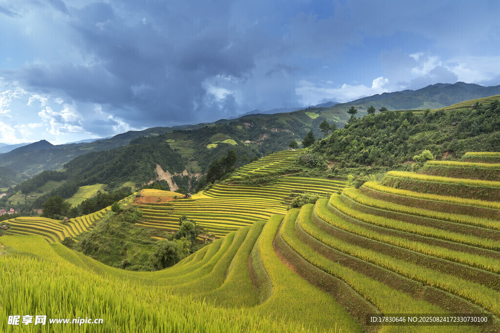 山間梯田美景