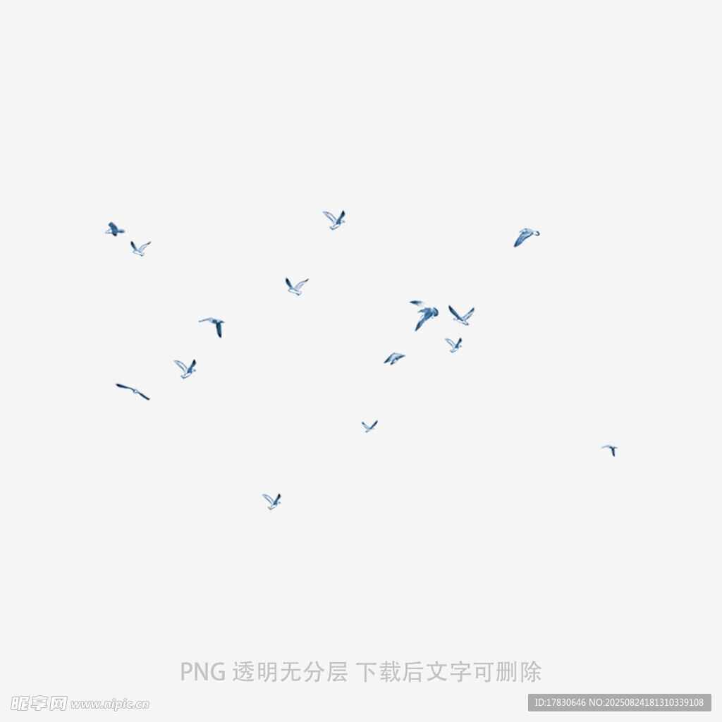 天空中飛翔的藍(lán)色鳥兒