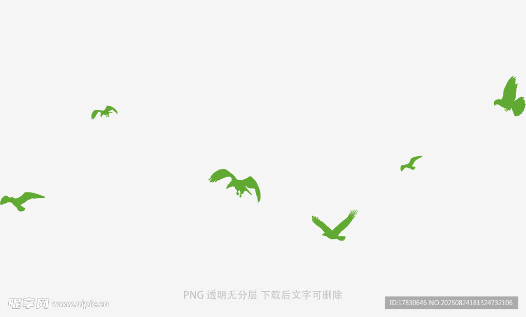 空中飛翔的綠色鳥兒
