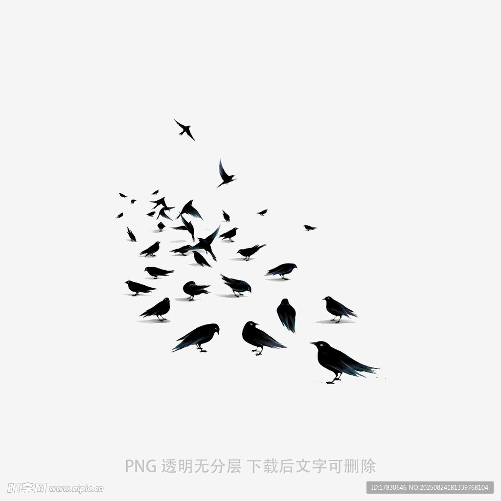 群鳥飛舞剪影圖