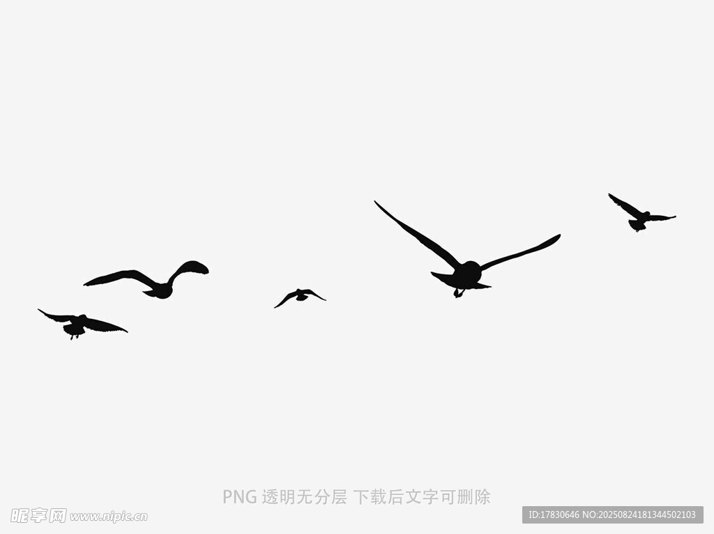 群鳥翱翔天際