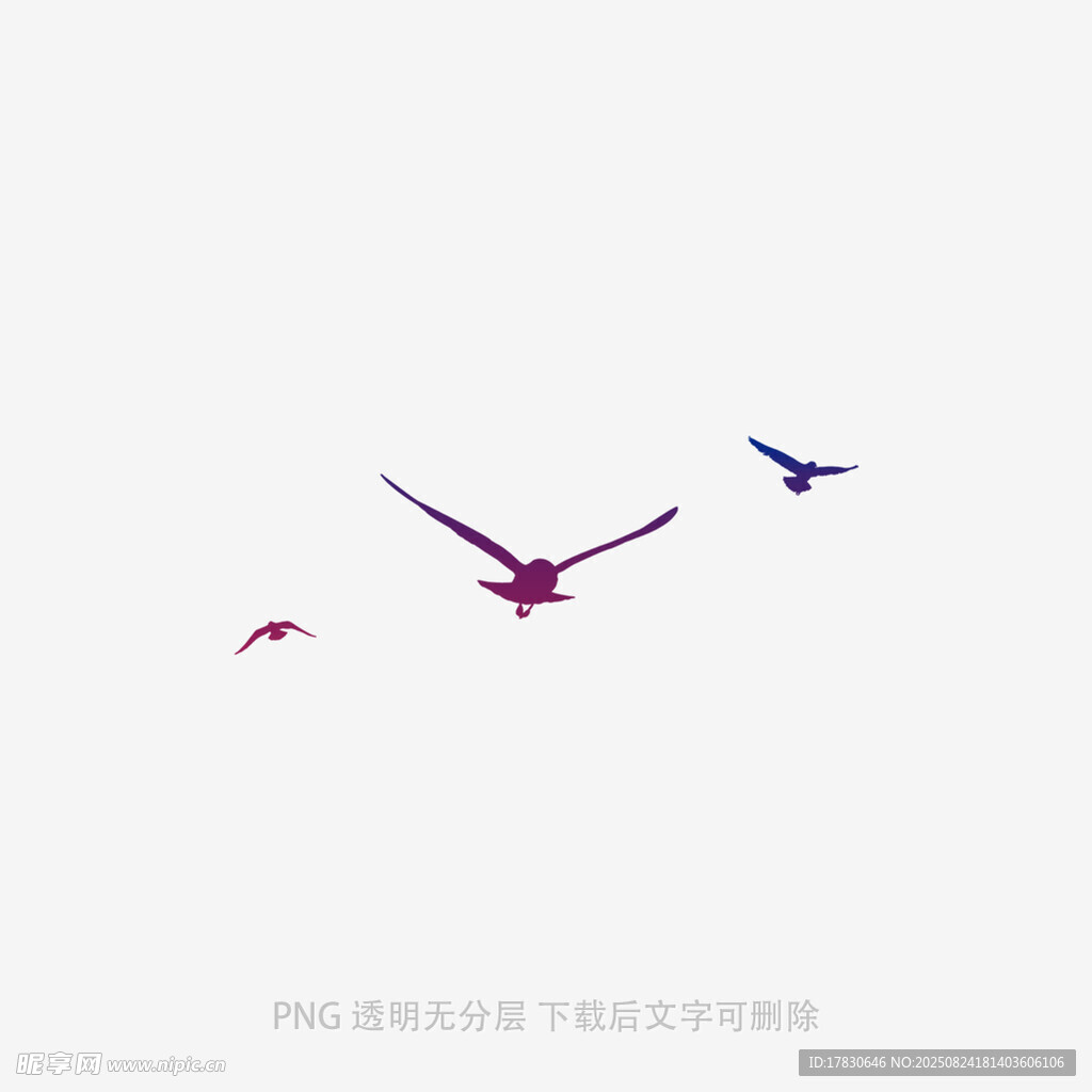 天空中飛翔的幾只鳥兒