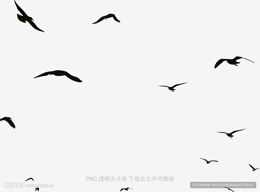 群鳥翱翔天際