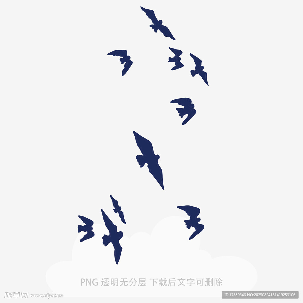 群鳥翱翔天際