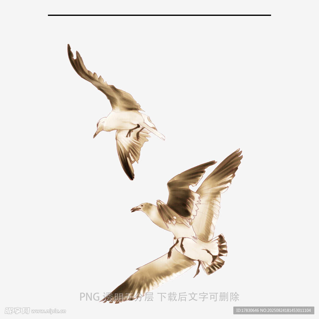 飛翔的海鷗