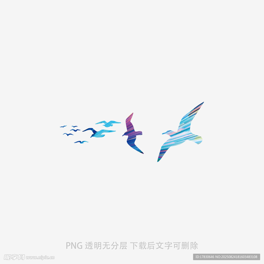 飛翔的多彩鳥兒