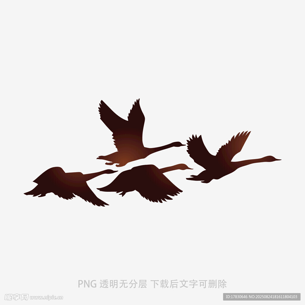 群鳥飛翔剪影