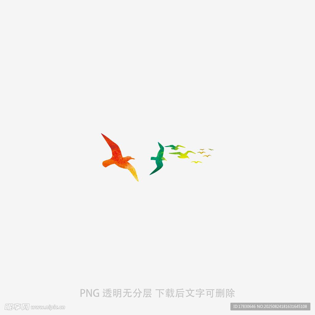 雙鳥飛翔圖案設計