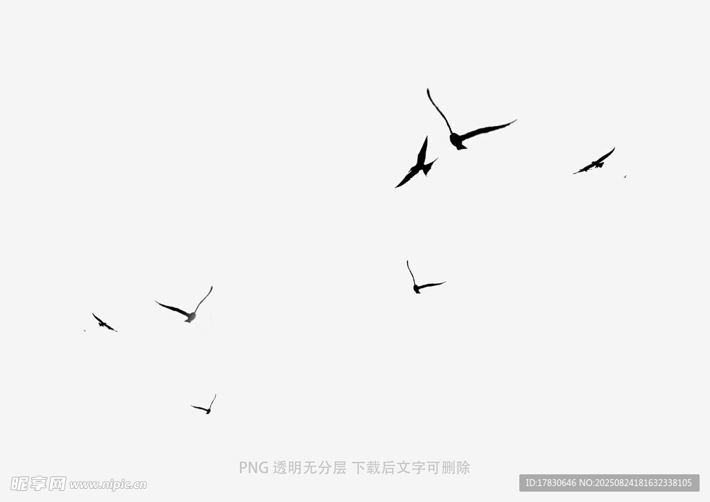 天空中飛翔的幾只鳥(niǎo)兒