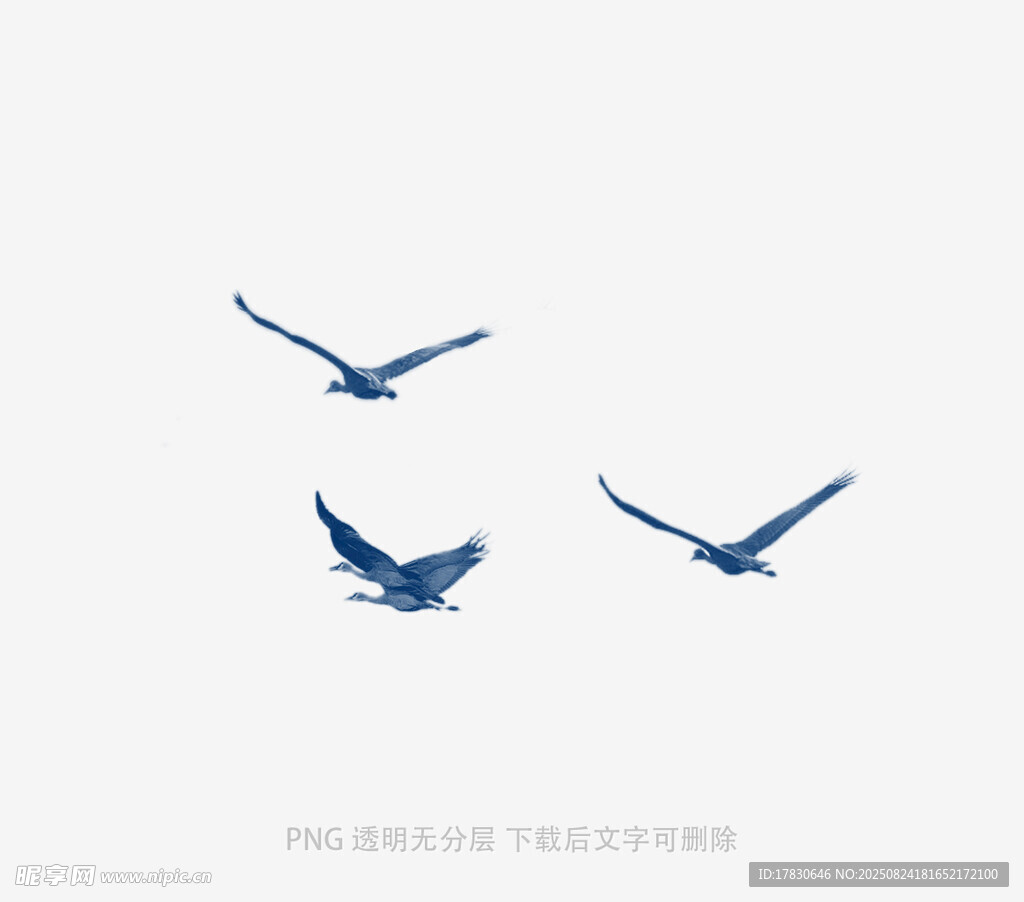 三只飛鳥翱翔于天際
