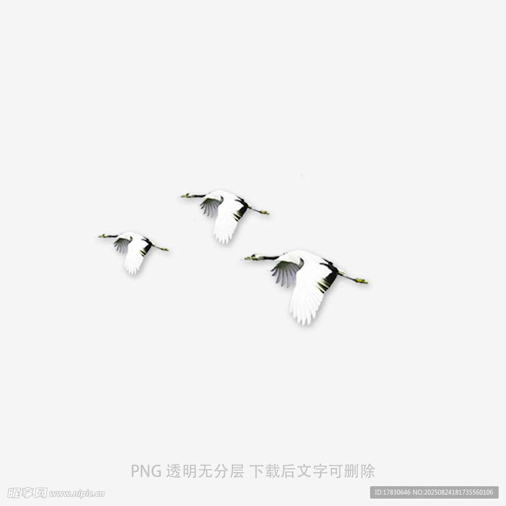 三只飛鳥(niǎo)在空中翱翔