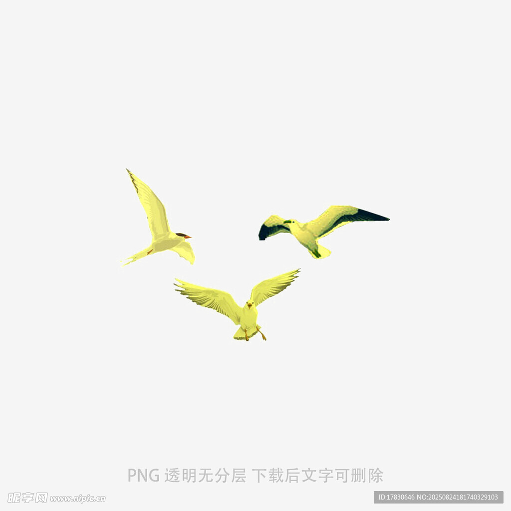 三只飛鳥翱翔于天際